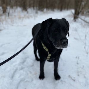 Meet your Posher, Karin